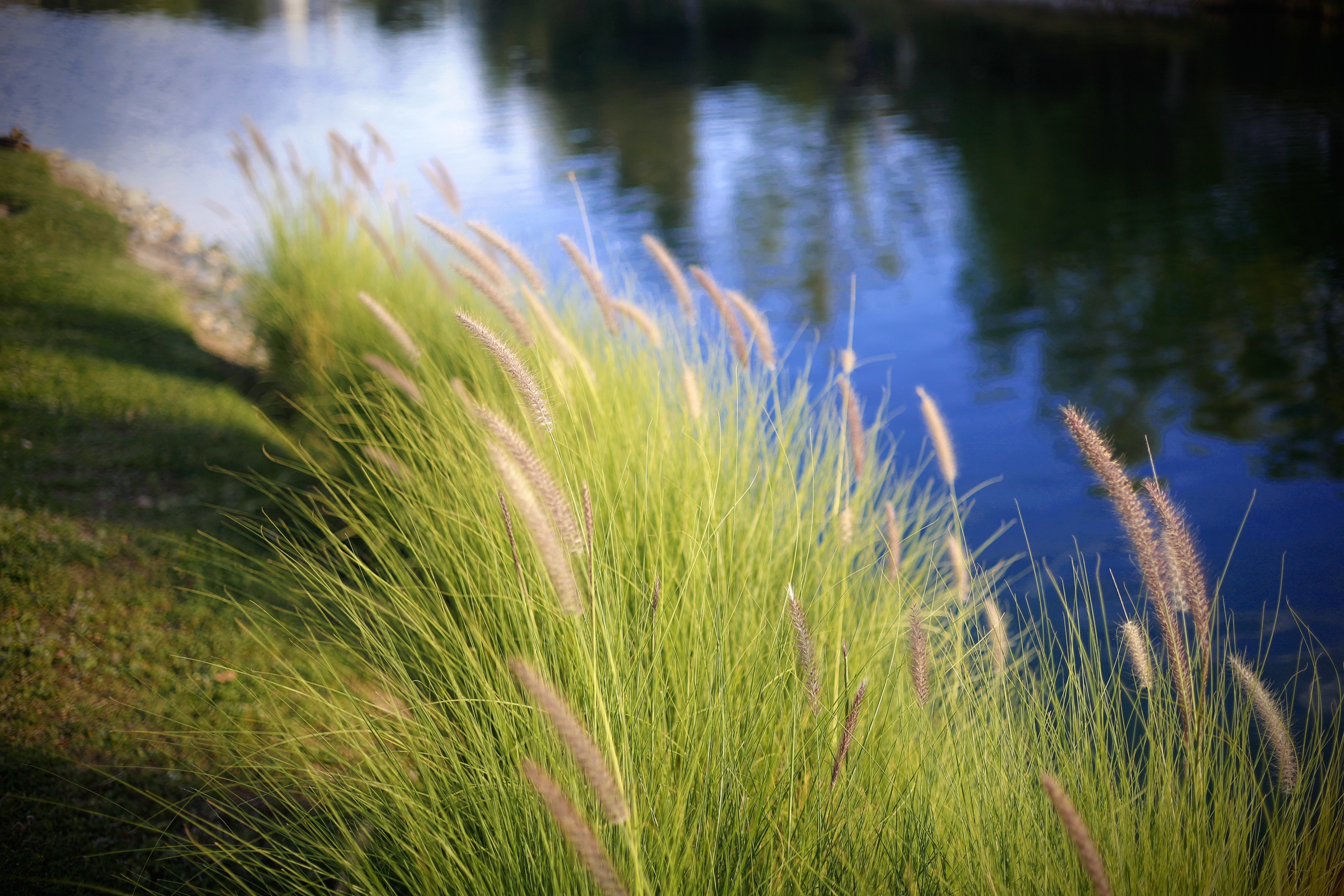 Urban shoreline architecture photography - landscape and infrastructure documentation by professional photographers
